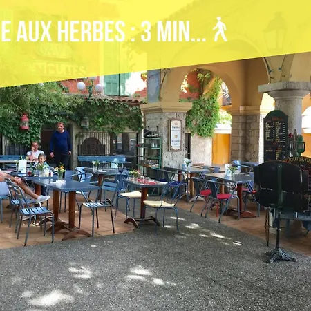 Cosy Basilique 멍똥